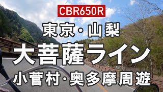 【CBR650R】ロード6にタイヤ交換、大菩薩ライン・奥多摩周遊道路を走って皮むき千石茶屋ランチツーリング【東京・山梨ツーリング】