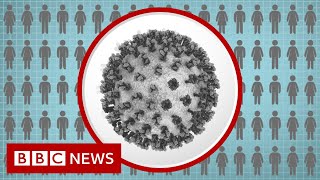 Coronavirus: How many more people are dying? - BBC News
