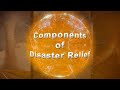 COMPONENTS OF DISASTER RELIEF