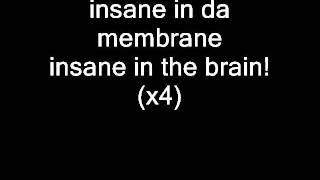 Cypress Hill - insane in the brain Lyrics