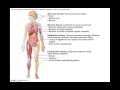 chapter 4.1 microscopy of human tissue bio201