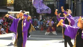 音鳴會（2013東京よさこい本祭）