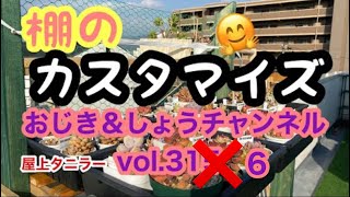 【多肉植物】【屋上】【succulent】【gardening】vol.316 棚のカスタマイズ