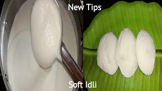 மிக்ஸியில் பஞ்சு போல மிருதுவான இட்லி செய்ய (New Tips) | How to make soft idly in mixi tips