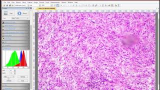 Microscope Camera Software - Getting Started Part 1