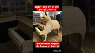 यहां एक बिल्ली नजर आ रही है आप कुता दिखाएं 🦮 😻#funny #viral #cat #dog #youtuber #youtubeshort