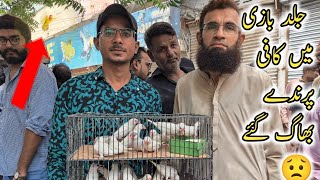 Lalukhait Birds Market Latest 4 September 2022 Video in Urdu Hindi ||B4BIRDS