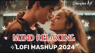 Mind relaxing songs 2024 | mashup songs slowed and reverb| lofi mashup feel songs| #lofimashupsong