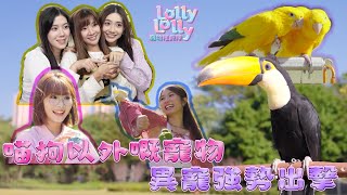 喵狗以外嘅寵物 異寵強勢出擊｜ Lolly Lolly寵物拯救隊 ｜EP9｜ Lolly Talk ｜ 寵物 ｜ HOY TV