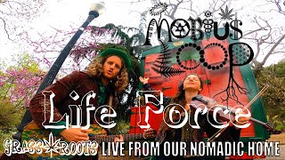 Mobius Loop - Life Force | GRASS ROOTS SESSIONS