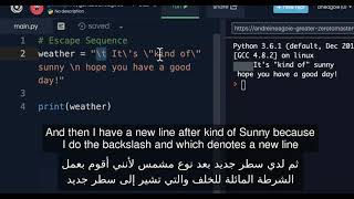 2.17 Escape Sequences