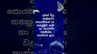 පිරිමි ඇයි ඒකට එච්චරටම ආස 🥰😍. #psychology  #education #shorts