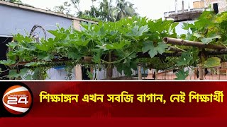 স্কুল মাঠ এখন সবজি খেত | Madaripur news