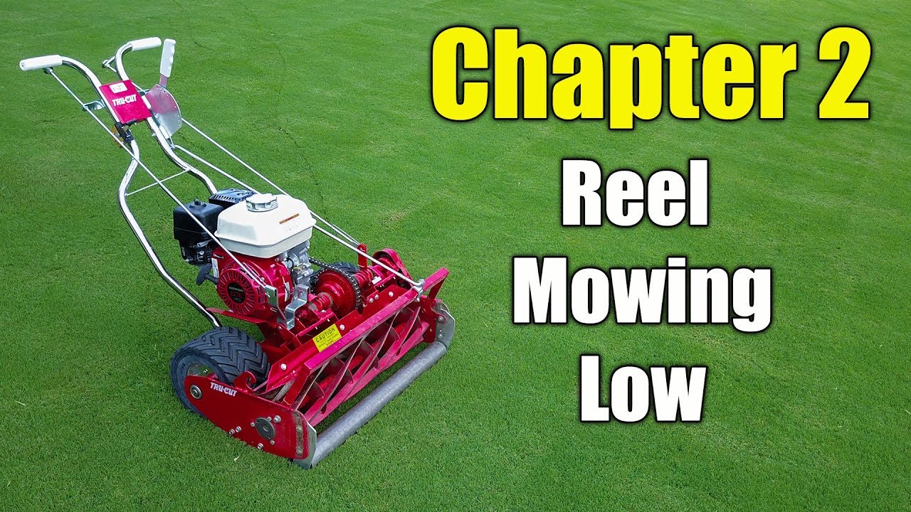 Reel Mowing Bermuda Grass - YouTube