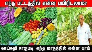 எந்த பட்டம் என்ன பயிரிடலாம்? காய்கறி சாகுபடி, எந்த மாதத்தில் என்ன காய், vegetable cultivation, seeds