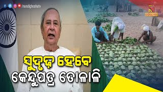 ସୁଦୃଢ଼ ହେବେ କେନ୍ଦୁପତ୍ର ତୋଳାଳି, ଆଜି ଶ୍ରମିକଙ୍କୁ ସହାୟତା ରାଶି ବାଣ୍ଟିବେ ମୁଖ୍ୟମନ୍ତ୍ରୀ | NandighoshaTv