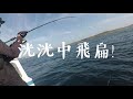 【taiwan】a wonderful fishing moment in penghu.