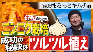 【まるっとキムチ①】キムチににんにくは欠かせない！秘儀ニンニクのツルツル植え‼︎