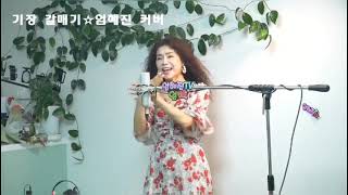 기장 갈매기(나훈아)☆COVER 엄혜진 #기장갈매기 #강릉라이브여왕 #엄혜진 #엄혜진tv #나훈아