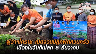 ผู้ว่าฯ โคราช เปิดจวนปลูกผักสวนครัว เนื่องในวันดินโลก 5 ธ.ค. : Matichon Online