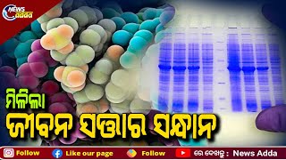 Proteins That Made Life Possible On Earth | ବିଶ୍ୱରେ ପ୍ରଥମ ଜୀବନ ସୃଷ୍ଟି କରୁଥିବା ପ୍ରୋଟିନର ମିଳିଲା ସନ୍ଧାନ