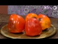 Central Texas Gardener: persimmons