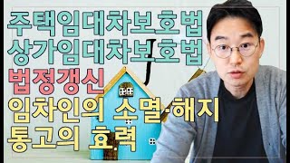 [윤소평변호사]주택임대차보호법, 상가임대차보호법 법정갱신, 임차인의 소멸해지 통고의 효력