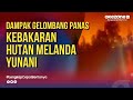 Dampak Gelombang Panas, Kebakaran Hutan Mengerikan Landa Yunani, Spanyol dan Italia