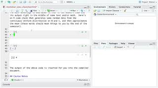R Code Chunks