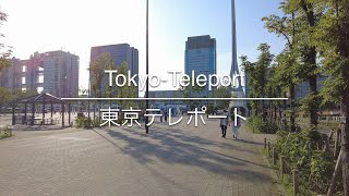 [4K] Tokyo-Teleport 東京テレポート [Tokyo 東京] [Walk 散歩] #264