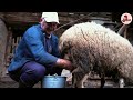 the secret process behind making tons of butter in a factory