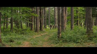 Adirondack Adventure Base | Mountain Biking