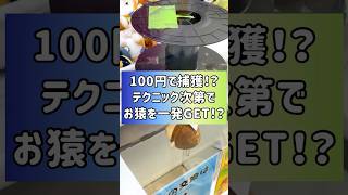 一発GETも夢じゃない⁉️捕獲出来るかどうかはアナタ次第な設定を発見しました‼️ #クレーンゲーム #ゲームセンター  #ufoキャッチャー