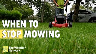 When to Stop Mowing: Tips to Help Keep Your Lawn Healthy