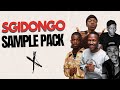 (FREE!) SGIDONGO AMAPIANO SAMPLE PACK!🔴🔥