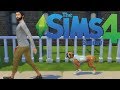 All Grown | Sims Sunday