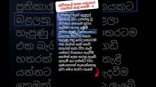 පුරාණ රහසිගත කෙම් ක්‍රම 6⚡😇 #උළුක්කුවට #බළලෙක්වාහනයටහසුවූපසු #sinhala