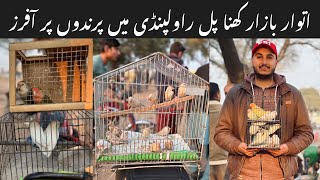 Sunday Birds Market Rawalpindi || Khanna pull birds market ki latest update.