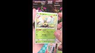 Pokemon Volt Tackle (Pack #17)