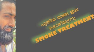 പുക ചികിത്സയും മണൽ കിടക്ക ലെവലിംഗും ( നാരങ്ങ തുളസി )