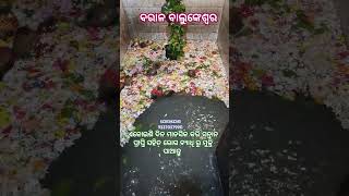 ଏଇ ପୀଠରେ ଏକୋଇଶି ଦିନ ମାନସିକ କରି ସନ୍ତାନ ପ୍ରାପ୍ତି ସହିତ ରୋଗ ବ୍ୟାଧି ରୁ ମୁକ୍ତି ପାଆନ୍ତୁ ଯୋଗାଯୋଗ 9337057990