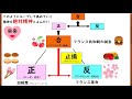 【高校生のための倫理】ヘーゲル（西洋思想）