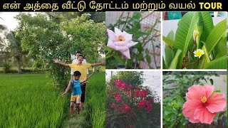 என் அத்தை வீட்டு தோட்டம் மற்றும் வயல்வெளி