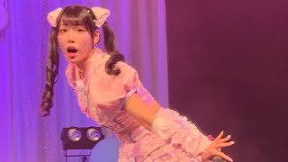 思春期アンサンブル  / すてねこキャッツ 2周年ワンマンライブ「にゃ〜っとにゃびゅらすっ!!」2024.11.23 📍GARDEN新木場FACTORY