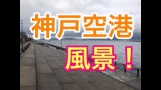 fishingmax神戸ハーバー店 神戸空港リアルタイム