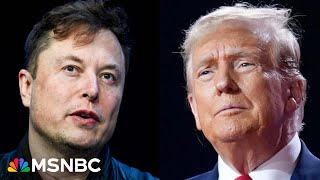 Who is in charge of DOGE? Lawsuits pile up against Trump and Musk