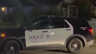 Teen accidentally shoots himself in the leg; DPD