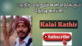 பதநீர் மற்றும் கள் எடுக்கும் நேரடி காட்சி