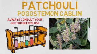 Essential Oil Breakdown: Patchouli Oil! Benefits, Uses, and History (Aromatherapy)