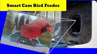 Sneaky Smart Camera Bird Feeder (Bird Watching Has Never Been Easier) #smartcamera #birds